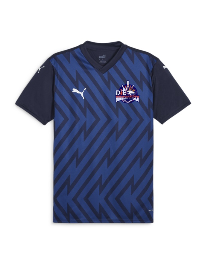 PUMA teamGLORY Trikot