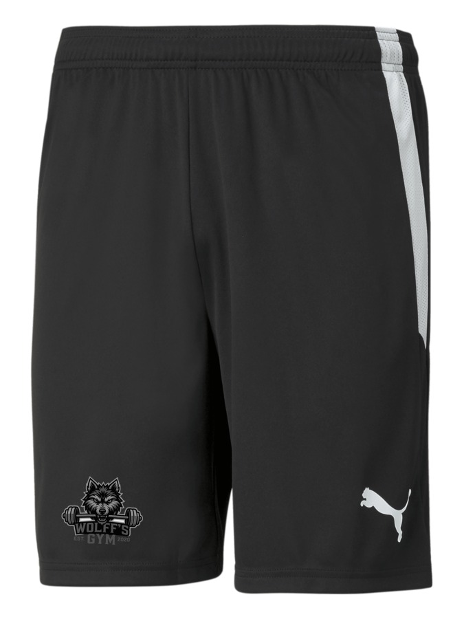 PUMA teamLIGA Shorts