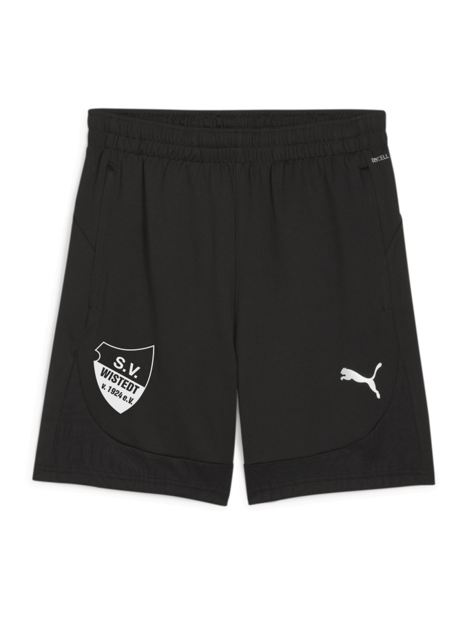 PUMA teamFINAL Training Shorts