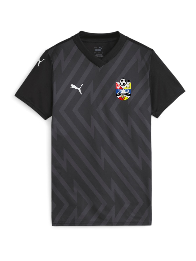 PUMA teamGLORY Trikot Damen