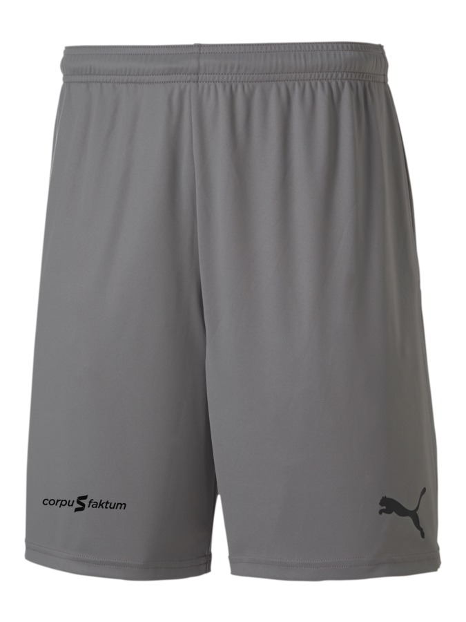 PUMA teamGOAL 23 Knit Shorts