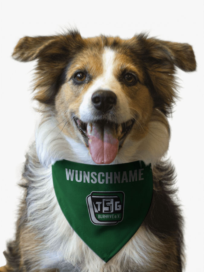 Hundehalstuch