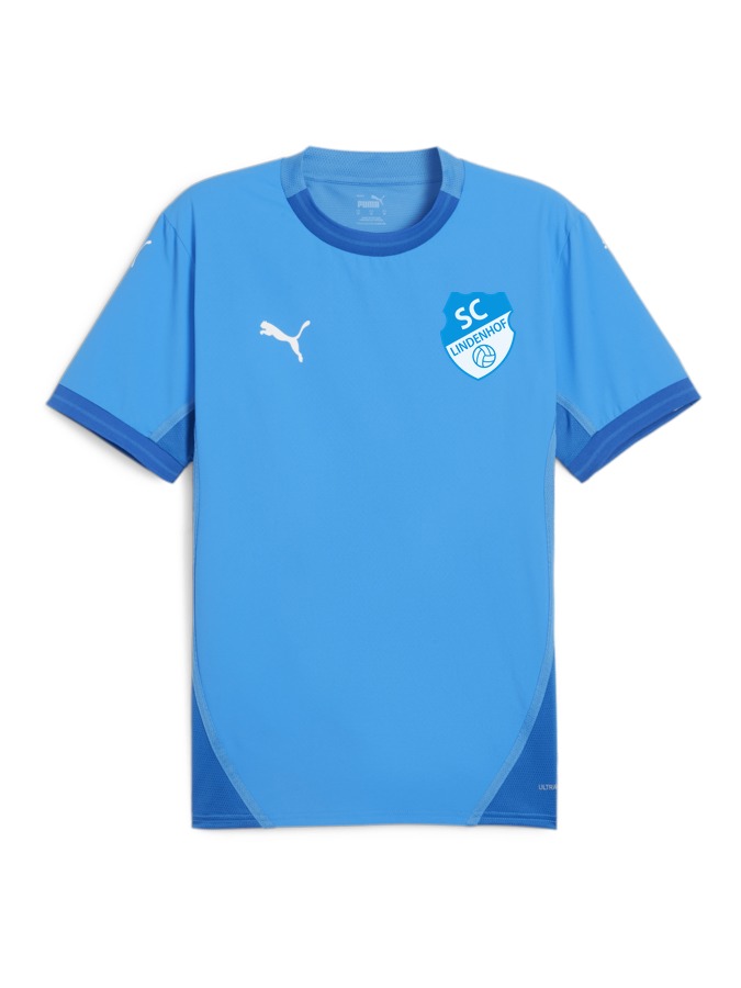PUMA teamFINAL Trikot