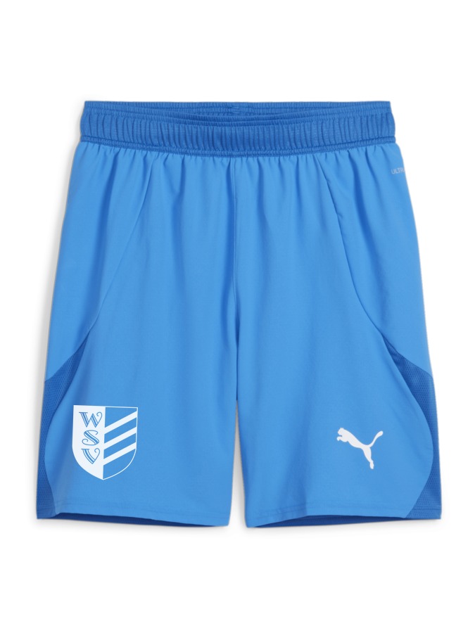 PUMA teamFINAL Shorts