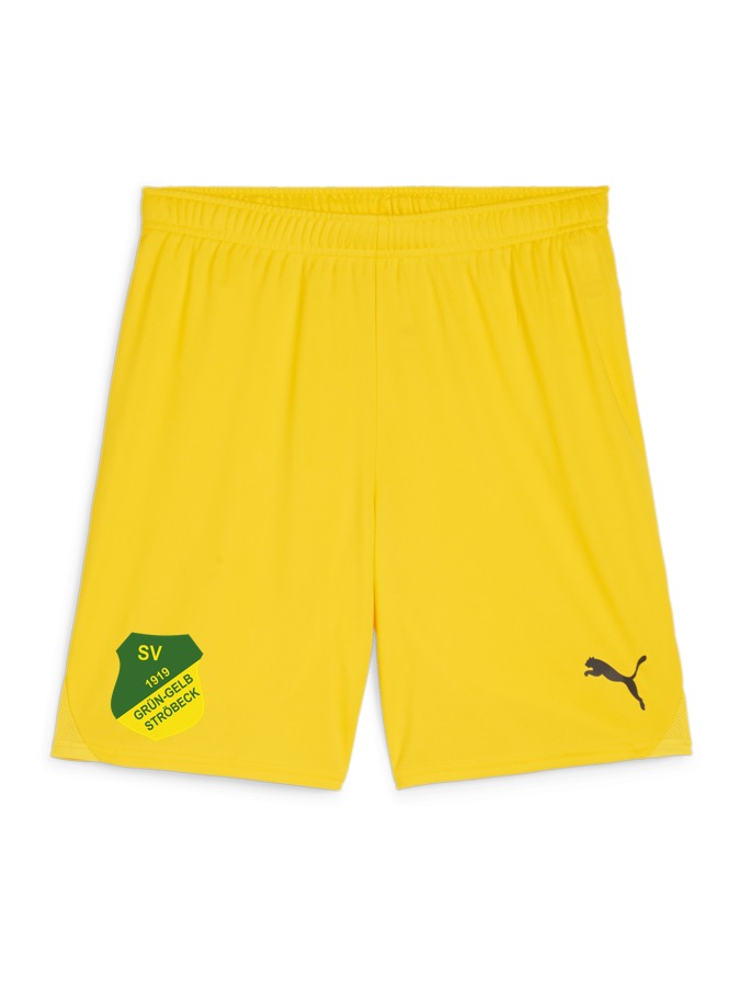 PUMA teamGOAL Shorts