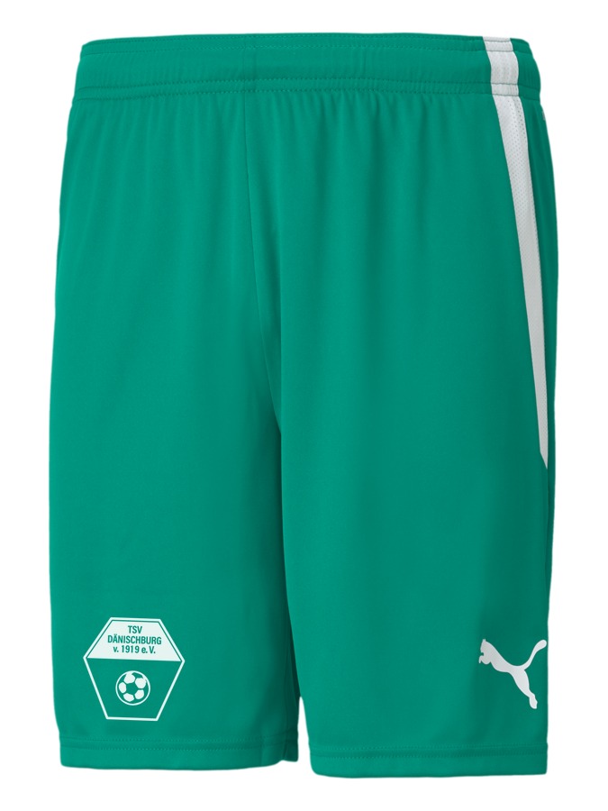 PUMA teamLIGA Shorts