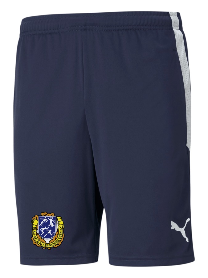 PUMA teamLIGA Training Shorts