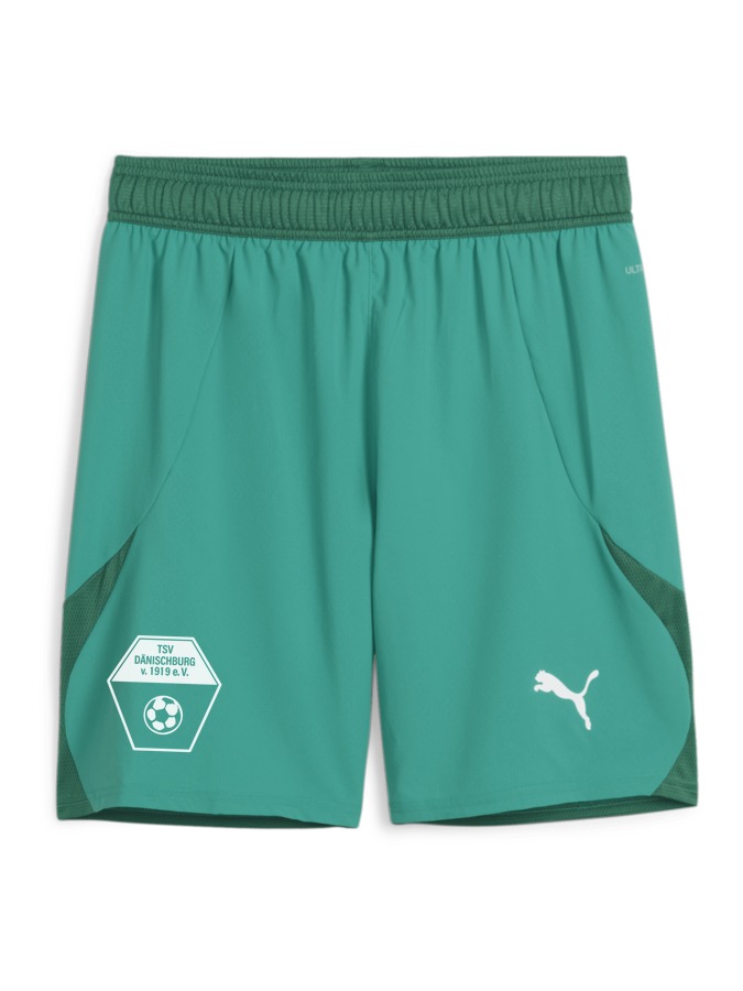 PUMA teamFINAL Shorts