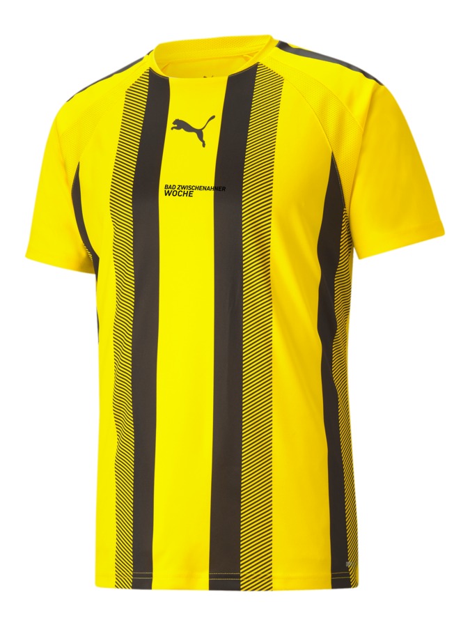 PUMA teamLIGA Striped Trikot