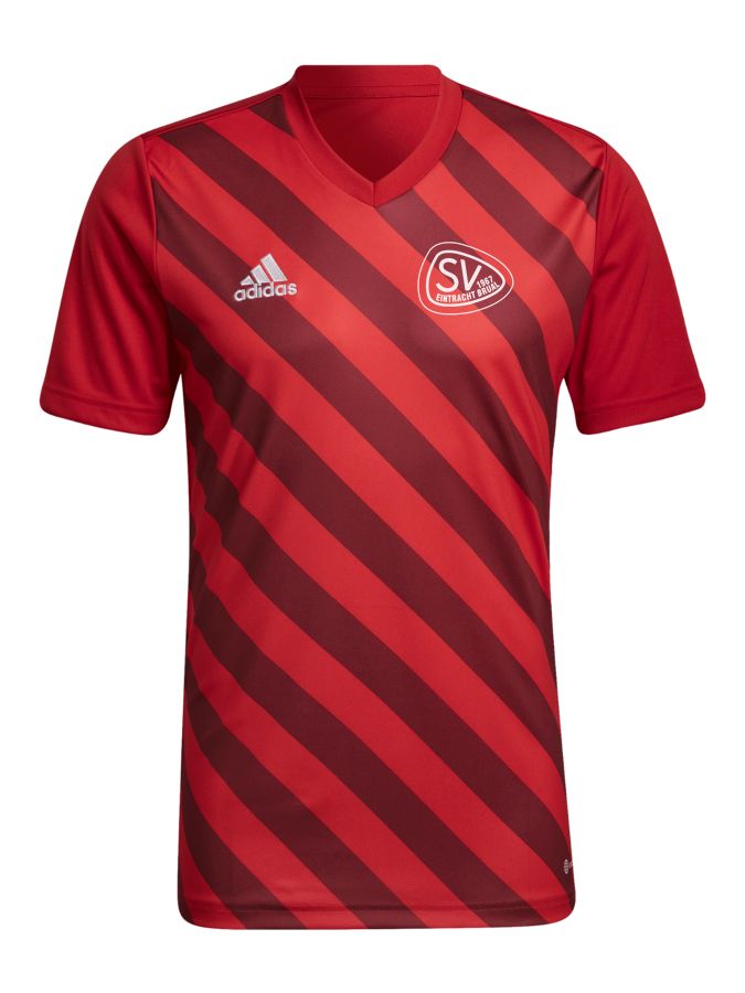 adidas Entrada 22 GFX Trikot