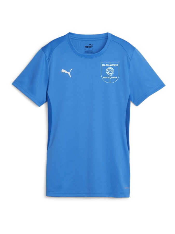 PUMA teamGOAL Trikot Damen