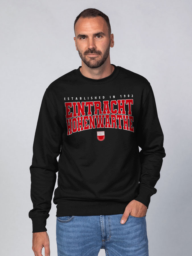 Sweater Retro Herren