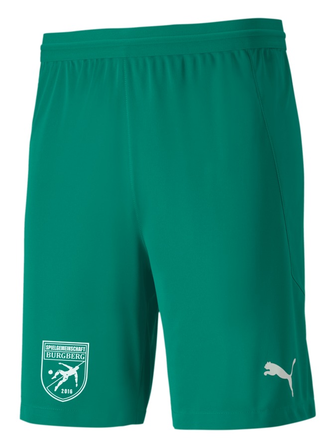 PUMA teamFINAL 21 Knit Shorts