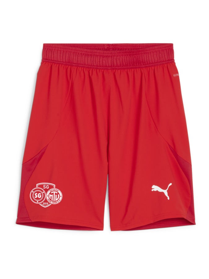 PUMA teamFINAL Shorts