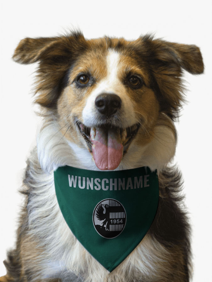 Hundehalstuch