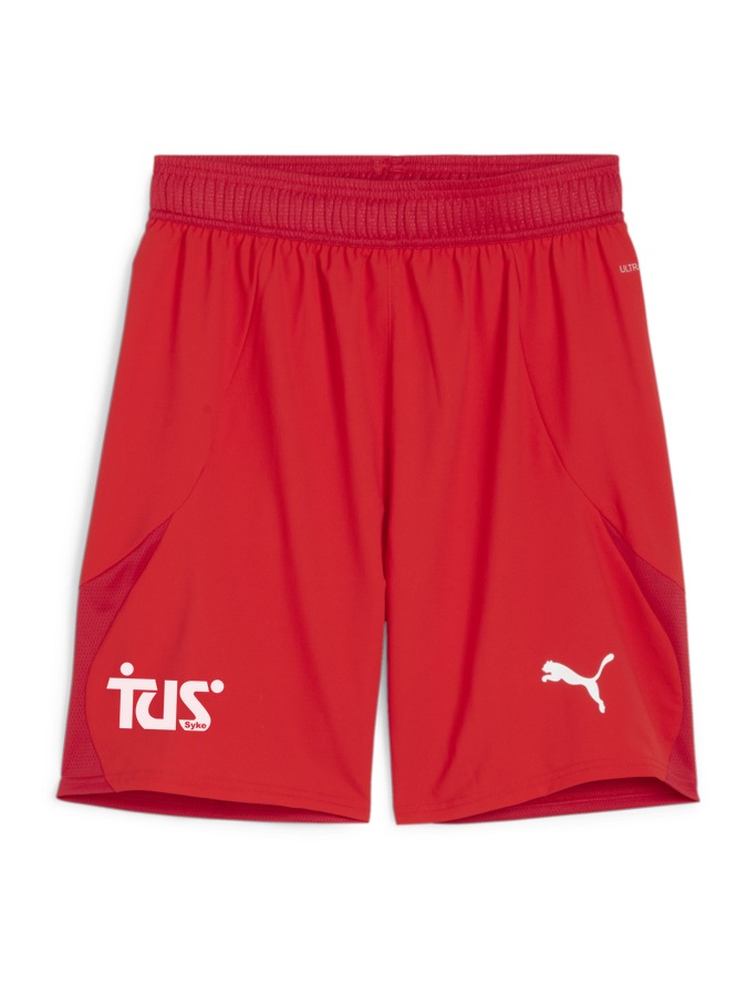 PUMA teamFINAL Shorts