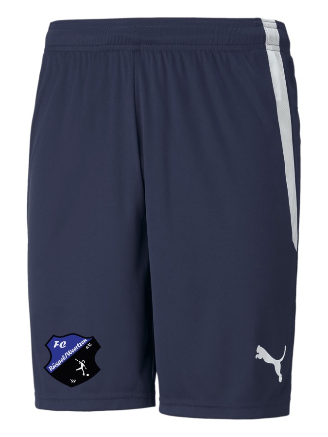PUMA teamLIGA Shorts