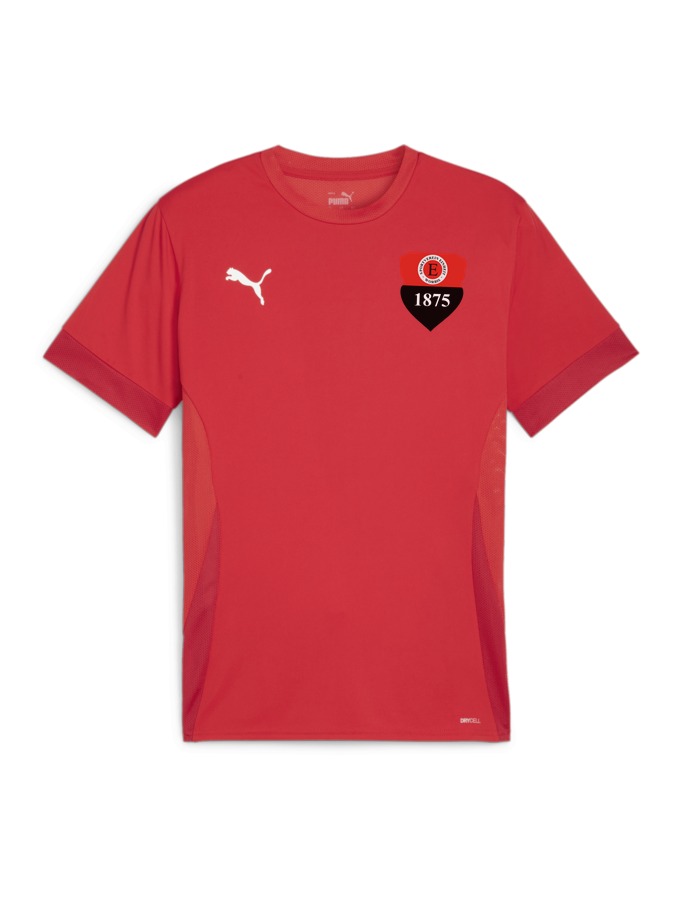 PUMA teamGOAL Matchday Trikot