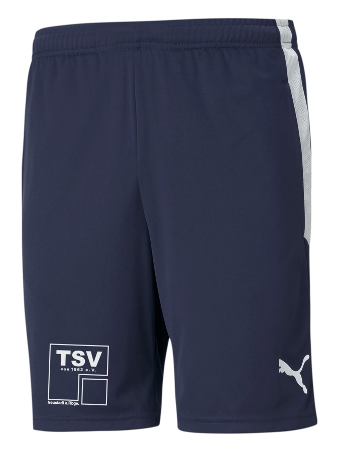 PUMA teamLIGA Training Shorts