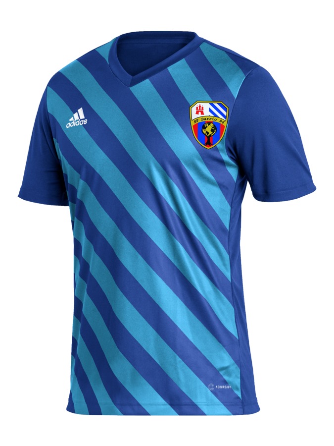 adidas Entrada 22 GFX Trikot