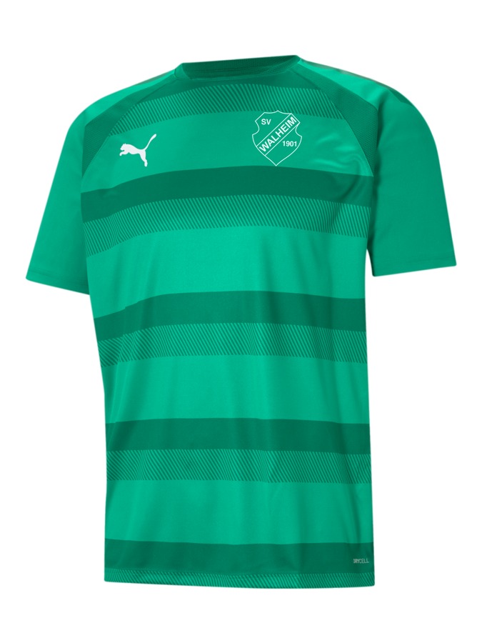 PUMA teamVISION Trikot