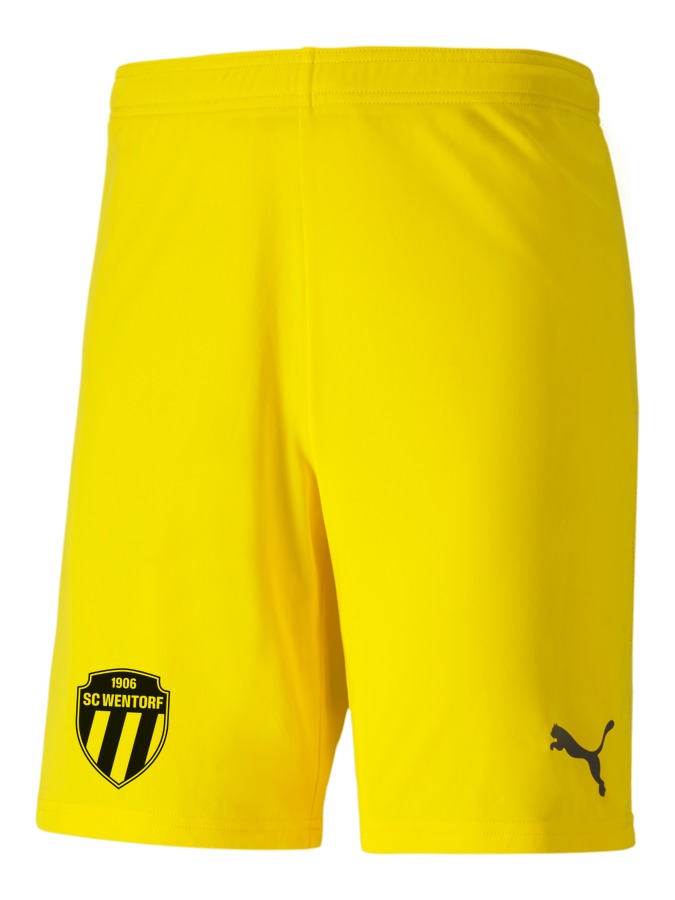 PUMA teamGOAL 23 Knit Shorts