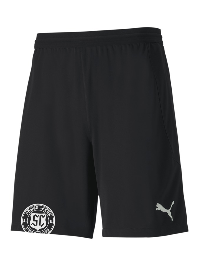 PUMA teamFINAL 21 Knit Shorts