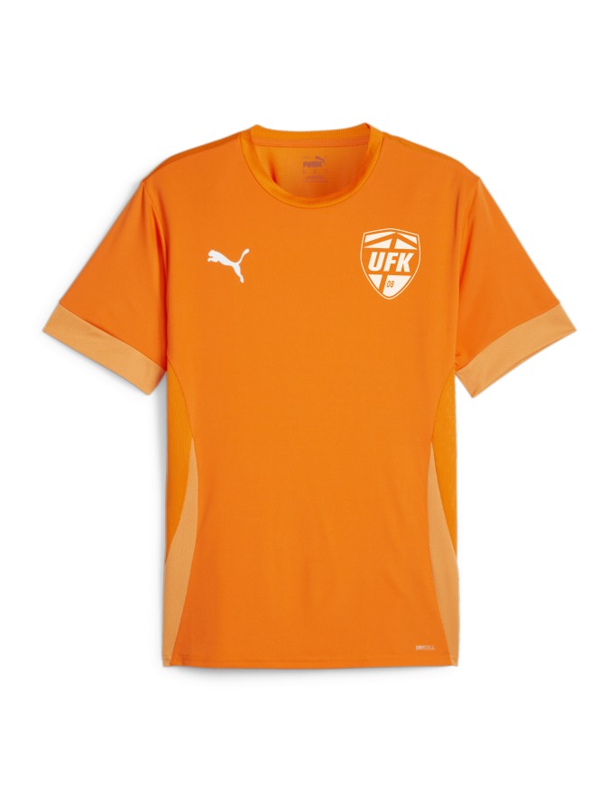 PUMA teamGOAL Matchday Trikot