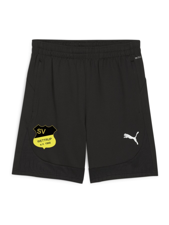 PUMA teamFINAL Training Shorts