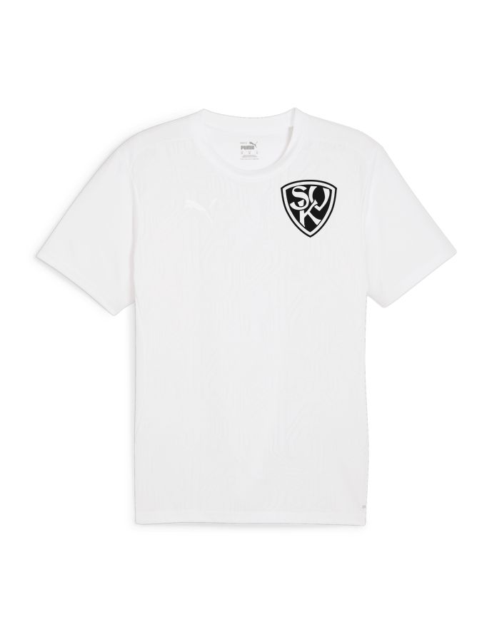PUMA teamFINAL Trainingsshirt