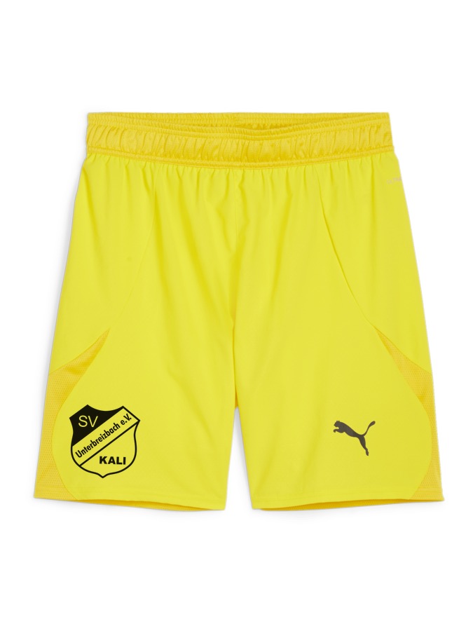 PUMA teamFINAL Shorts
