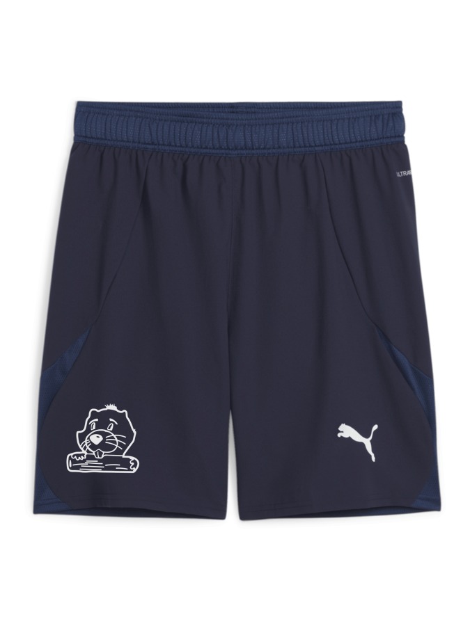 PUMA teamFINAL Shorts
