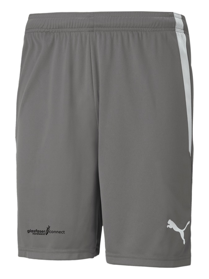 PUMA teamLIGA Shorts