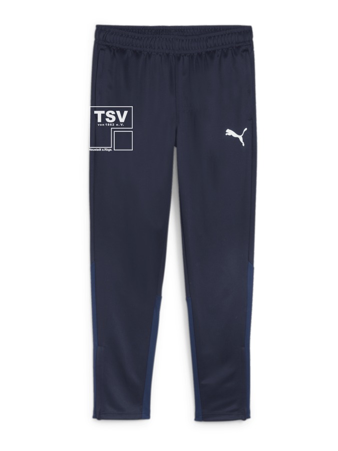 PUMA teamGOAL Trainingshose