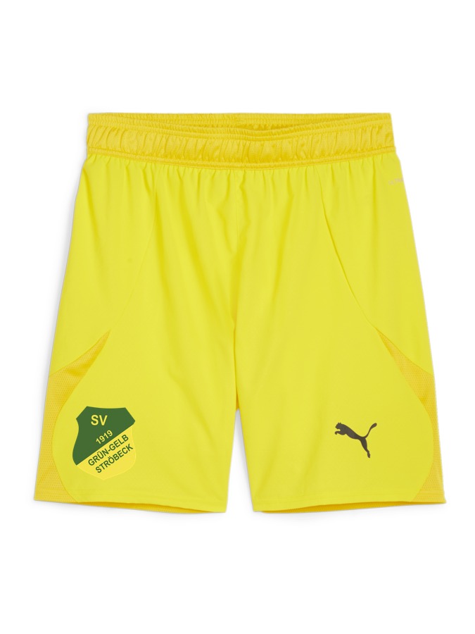 PUMA teamFINAL Shorts