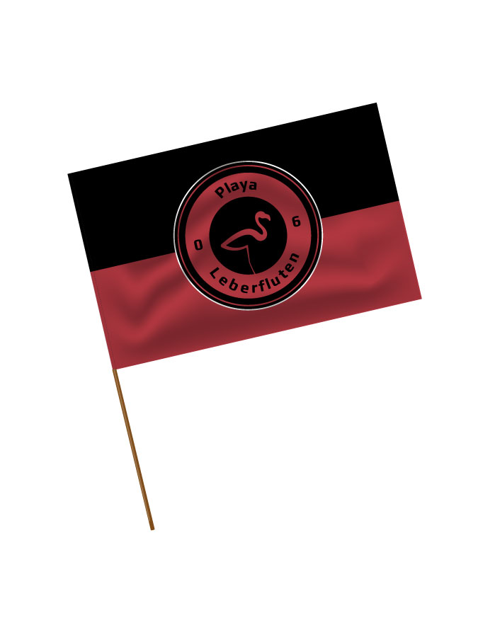 Stadionfahne Logo
