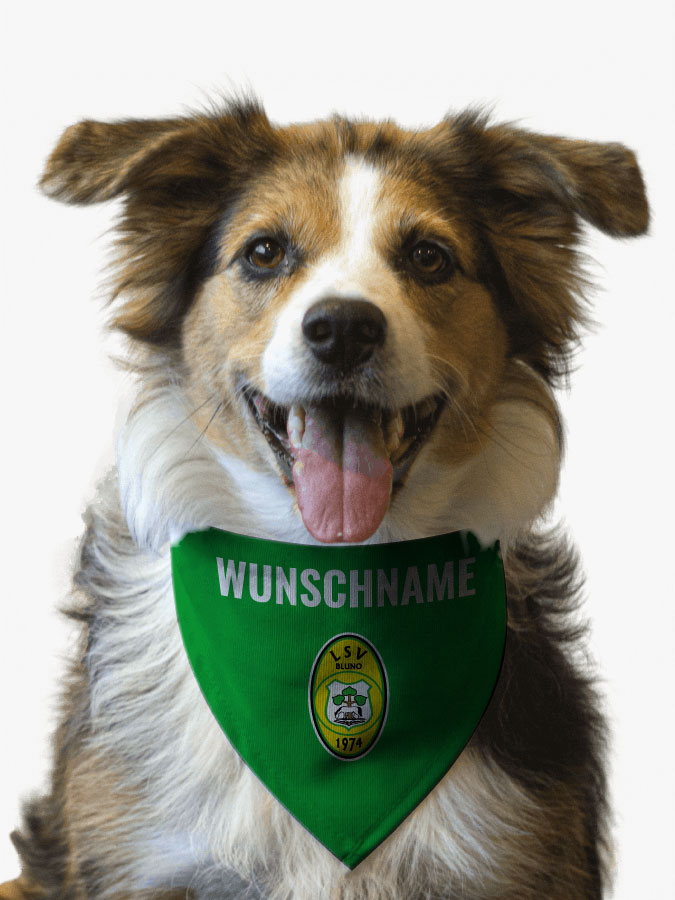 Hundehalstuch