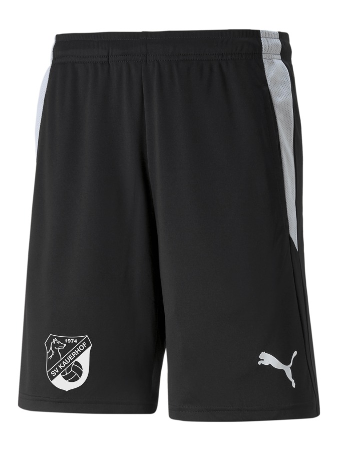 PUMA teamLIGA Referee Shorts