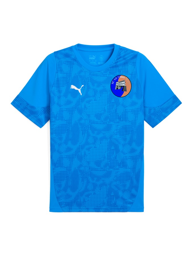 PUMA teamCUP Trainingsshirt