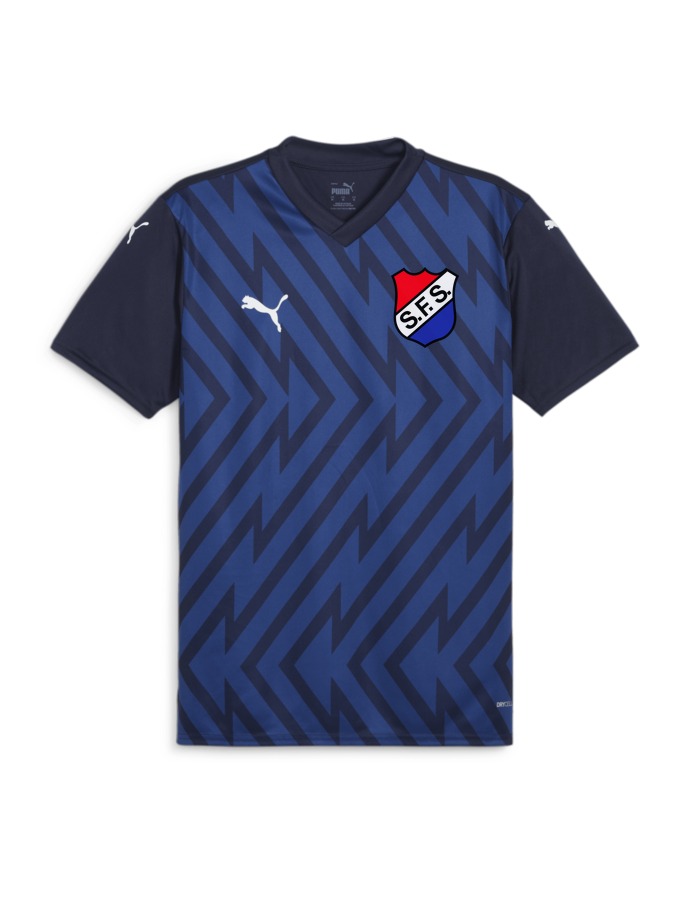 PUMA teamGLORY Trikot