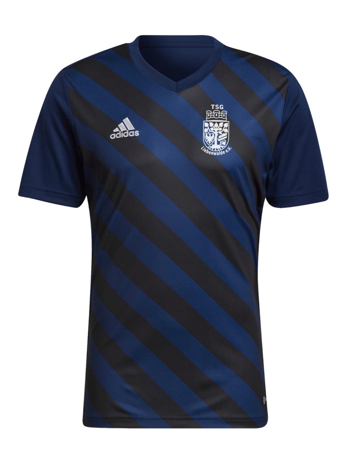 adidas Entrada 22 GFX Trikot