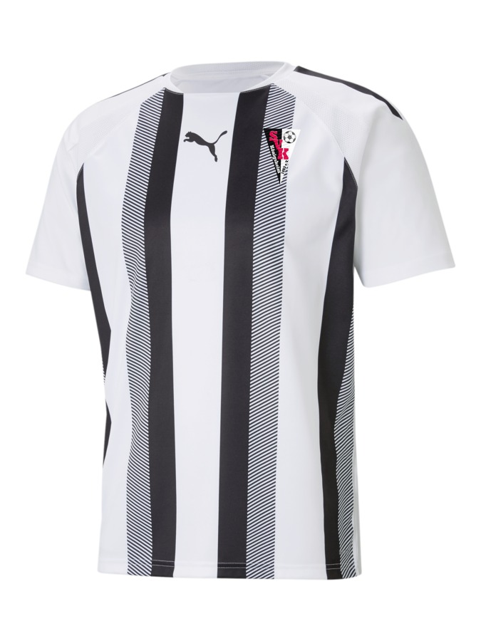PUMA teamLIGA Striped Trikot