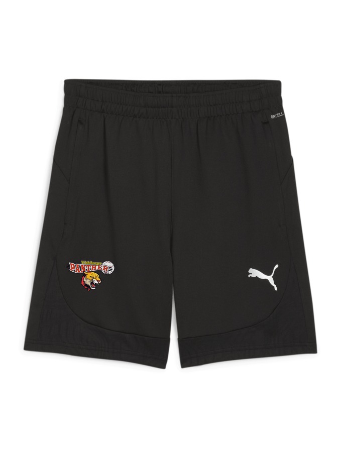 PUMA teamFINAL Training Shorts