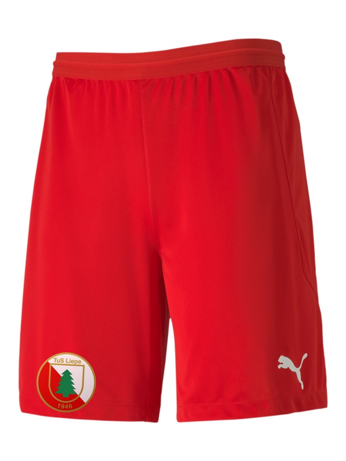 PUMA teamFINAL 21 Knit Shorts