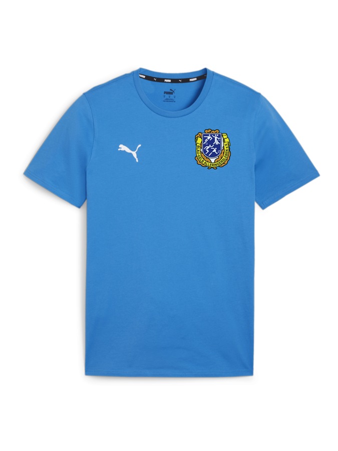 PUMA teamGOAL Casuals T-Shirt