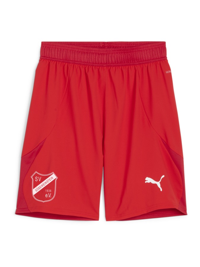 PUMA teamFINAL Shorts
