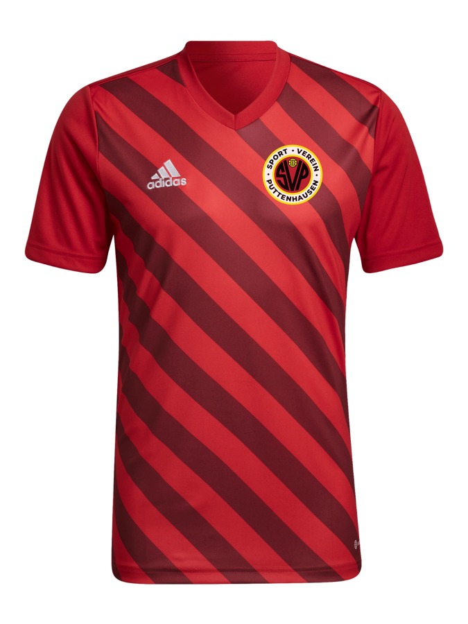 adidas Entrada 22 GFX Trikot