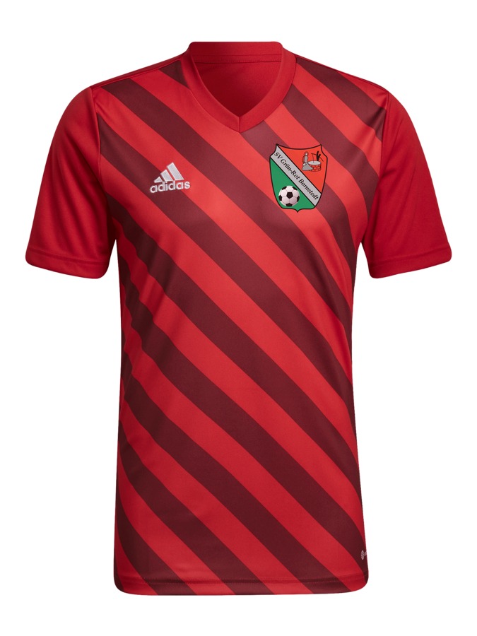 adidas Entrada 22 GFX Trikot