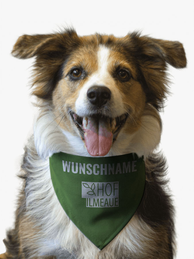 Hundehalstuch