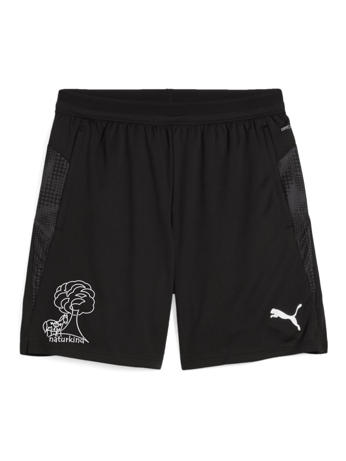 PUMA teamCUP Training Shorts